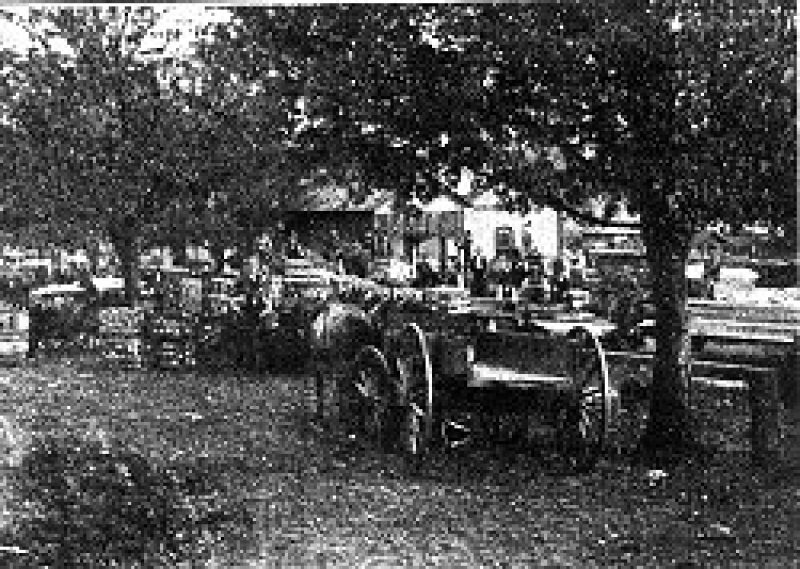Cabbage Market at Rural Retreat ca. 1906